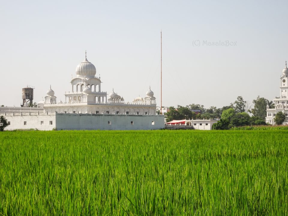 Village gurudwara sahib