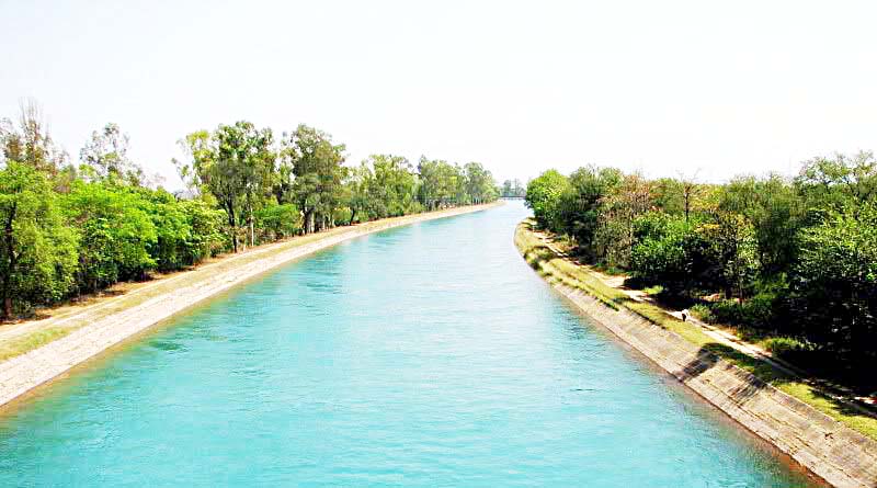 pani